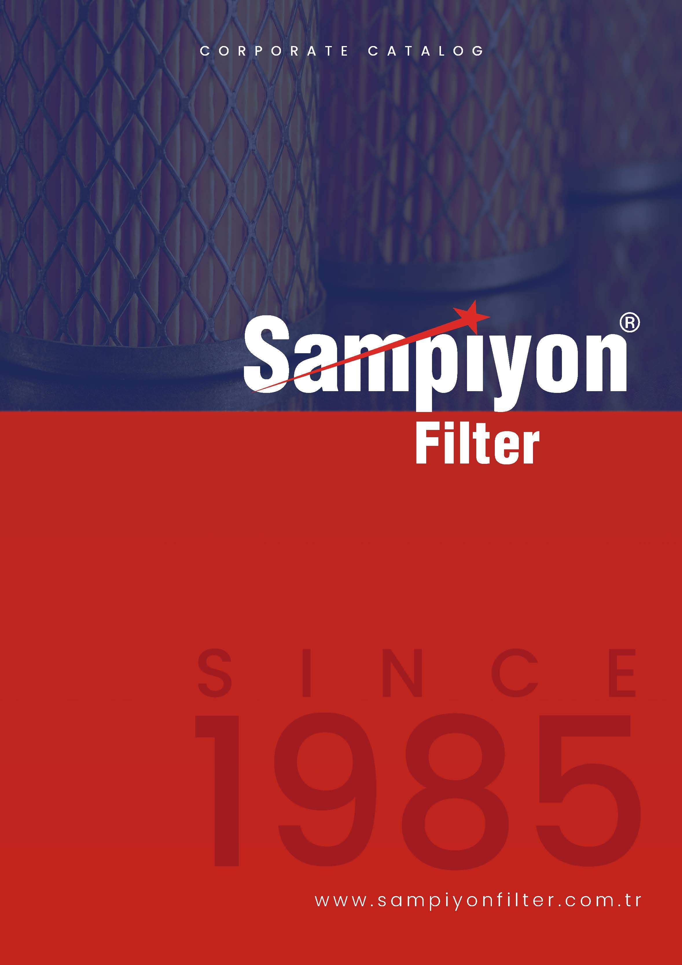 Downloadable Contents Şampiyon Filter